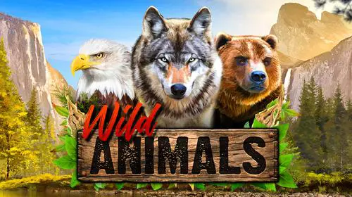 Wild Animals - Marakumi - Kenya